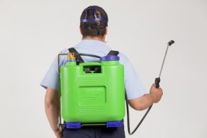 Spraying the home for general insects
